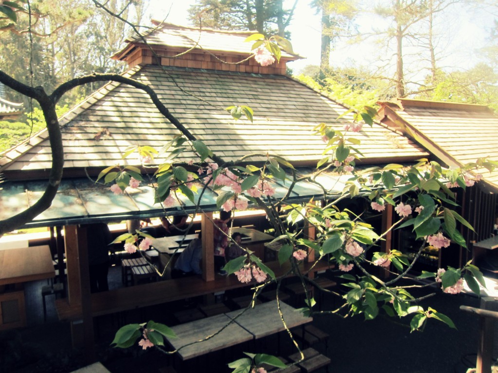 sf-japan-tea-garden-teahouse